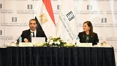 وزيرة التخطيط: طرح 