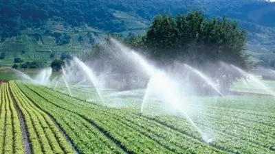 فيديو.. خبير مياه: 1000 فدان مساحة منطقة النهر الأخضر  بالعاصمة الإدارية