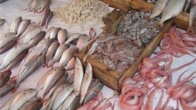 أسعار الأسماك اليوم السبت 12-12-2020 .. كيلو الجمبري الجامبو بـ 400 جنيه