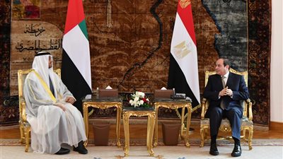 القضايا العربية وأمن الخليج.. تفاصيل لقاء السيسي وبن زايد