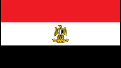 عاجل.. مصر ترحب بالإعلان عن تشكيل حكومة كفاءات سياسية يمنية