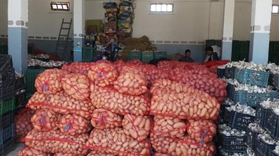 نائب رئيس غرفة الخضروات يكشف سبب أزمة محصول البطاطس