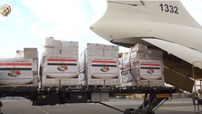 مصر ترسل مساعدات طبية وإنسانية لدولة مالي (فيديو)