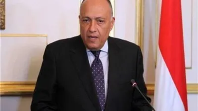 وزير الخارجية يؤكد تطلع مصر للاستمرار في تعزيز التعاون مع باكستان