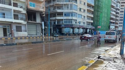 أمطار وشبورة.. تعرف على حالة الطقس على مدار الأسبوع