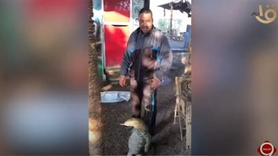 بعد ظهور السلعوة في قنا .. 