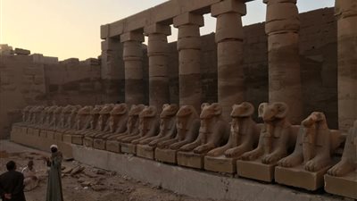 وضع أعمال الحفائر الأثرية على البرامج السياحية في الأقصر 