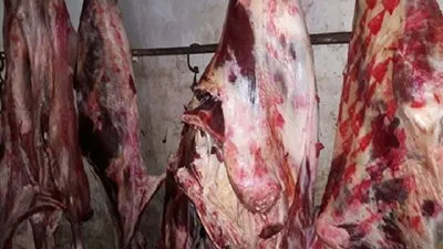 ضبط 150 كيلو لحوم مختومة بخاتم مزور في حملة تموينية ببني سويف