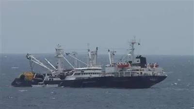 الحرس الثوري الإيراني يحتجز سفينة كورية جنوبية في الخليج