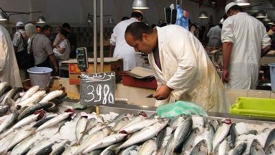  تراجع  أسعار الاسماك اليوم الثلاثاء 5-1-2020