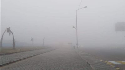 الأرصاد تحذر من الشبورة.. تعرف على حالة الطقس للأيام المقبلة