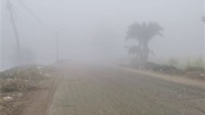 شبورة تصل إلى حد الضباب.. تعرف على حالة الطقس للأيام المقبلة