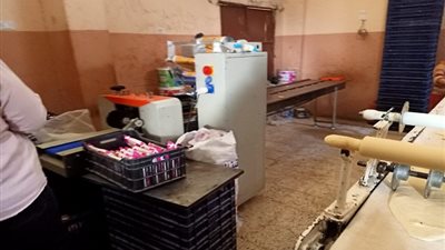 ضبط 3 مصانع غير مرخصة وسجائر مجهولة المصدر في حملة تموينية ببني سويف (صور)