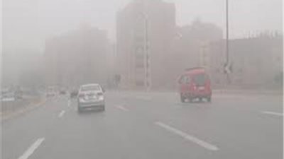 بسبب الشبورة الكثيفة.. 