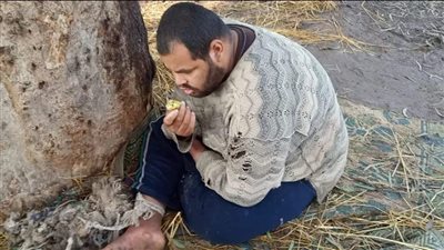  اعتادت على ذلك 15 عامًا.. تفاصيل تقييد أم لابنها المعاق ذهنياً في شجرة