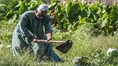 سيد خليفة: السيسي يقود نهضة زراعية لم تشهدها مصر منذ 4 عقود (فيديو)