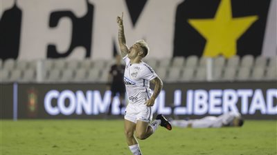 موعد مباراة بالميراس ضد سانتوس في نهائي كأس ليبرتادوريس