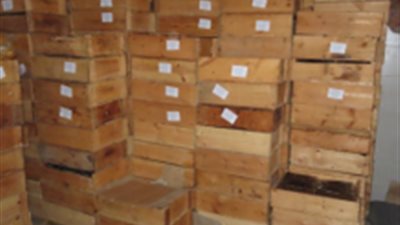 نتائج جهود الإدارة العامة لشرطة البيئة والمسطحات خلال 24 ساعة