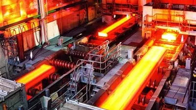 منير فخري للمعارضين لتصفية الحديد والصلب :