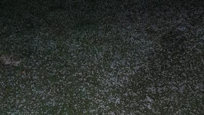 شاهد.. سقوط ثلوج على شوارع الإسكندرية (صور)