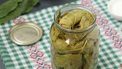 3 طرق سهلة وبسيطة لتخزين ورق العنب.. اكتشفيها