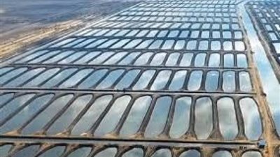 حسام فريد: الشركات المصرية قادرة على تلبية احتياجات القرى المصرية (فيديو)