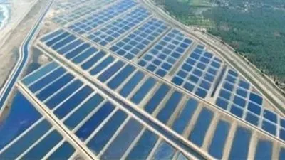 الزراعة: الإستراتيجية الحكومية الحالية هدفها تأمين الاكتفاء الذاتي من الغذاء