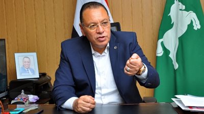 ضبط وإعدام أكثر من 640 طن أغذية مخالفة وغلق 2391 منشأة غذائية بالشرقية 