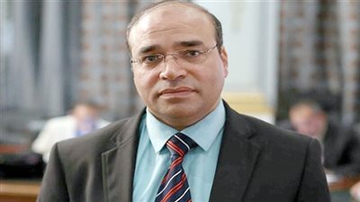 برلماني: لن تستطيع قوي الشر والإرهاب أن تنال من عزيمة الشعب المصري