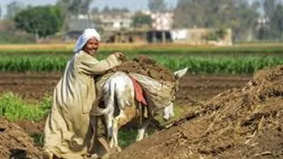 وزير الزراعة: من 100 سنة كان نصيب كل مواطن فدان.. 