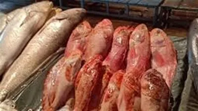 أسعار الأسماك في الدقهلية اليوم السبت 30 -1-2021