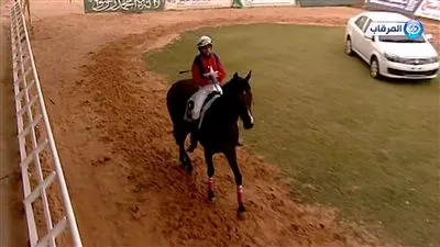 ميدان فروسية الزلفي يُقيم سباقه الـ١٢ للموسم الحالي