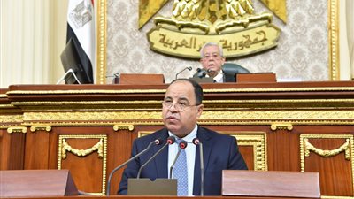 وزير المالية من البرلمان: تقارير المؤسسات الدولية أكدت تصنيف مصر الائتمانى رغم أزمة كورونا