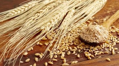 رئيس الشركة العامة للصوامع: الفاقد من القمح الآن يكاد يكون صفر 