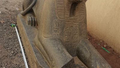 ننفرد بصور تمثال 