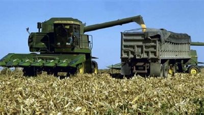 الزراعة تعلن الإجراءات الإحترازية لحماية زراعات البطاطس والطماطم والفراولة من الصقيع والأمطار 