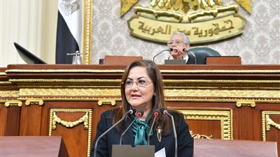 وزيرة التخطيط تستعرض جهود الوزارة بمجال التدريب وبناء القدرات أمام مجلس النواب