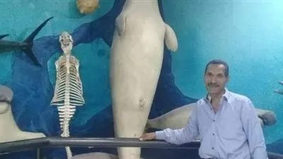 حنط عروس البحر.. أقدم محنط كائنات بحرية في مصر يكشف أسرار المهنة