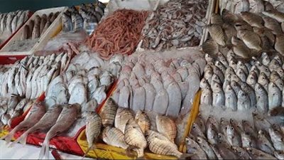 أسعار الاسماك في مصر اليوم الجمعة 12-2-2021