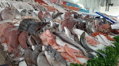 أسعار الأسماك في مصر اليوم الاثنين  15-2-2021 