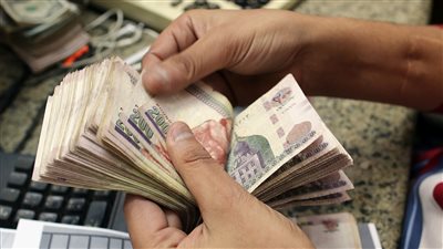 ضمن أفضل العملات أداء أمام الدولار.. كيف صمد الجنيه المصري خلال أزمة كورونا؟