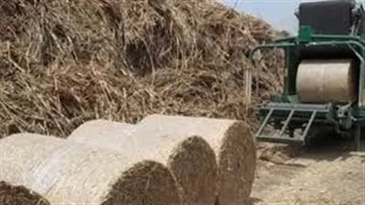 بتر كف مواطن بسبب ماكينة قش الأرز بالدقهلية