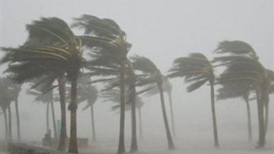 الأرصاد الجوية: اليوم رياح تصل للعاصفة وسرعتها على القاهرة 40 عقدة