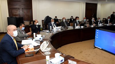 الإسكان:الاعتماد على المنتجات المحلية في مبادرة حياة كريمة 