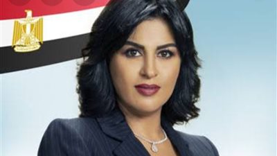 برلمانية تُطالب بحل أزمة سوء خدمة الإنترنت المنزلي