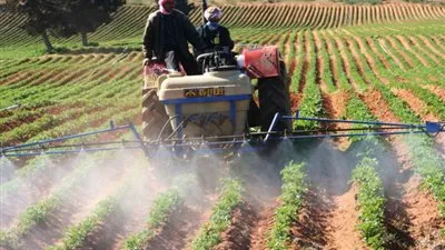  البنك الزراعي يكشف شروط الحصول على قرض زراعي