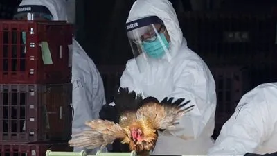 أول إصابة بإنفلوانزا الطيور ومحاولة اغتيال فتحي باشاغا.. أبرز أحداث العالم في أسبوع