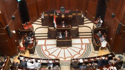 تعرف على اختصاصات لجنة الشئون الخارجية بـ