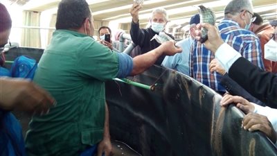 وزير الزراعة ومحافظ جنوب سيناء يتفقدان مزرعة الاستزارع السمكي والصوب الزراعية بمدينة نويبع