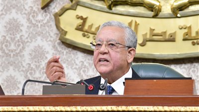 رئيس التنظيم والإدارة: نقل الموظفين في القانون الجديد لا يحمل أي تعسف والقرار بيد رئيس الوزراء 